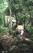 Climbing to Temple 88